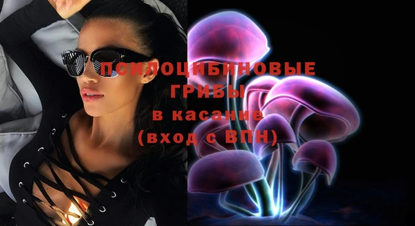 стафф Нея