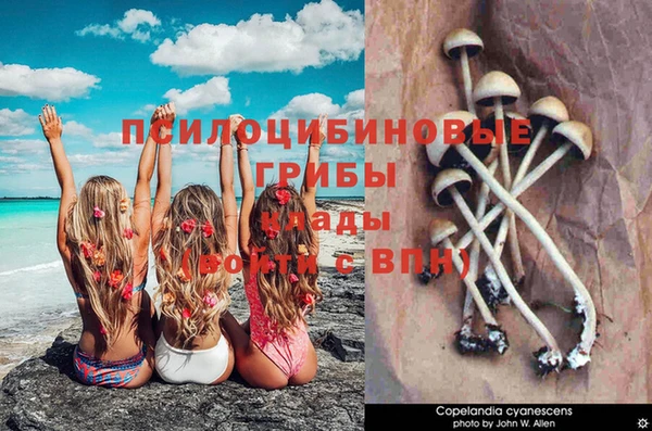 мдпв Нефтегорск