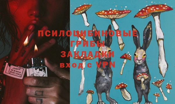 стафф Нея
