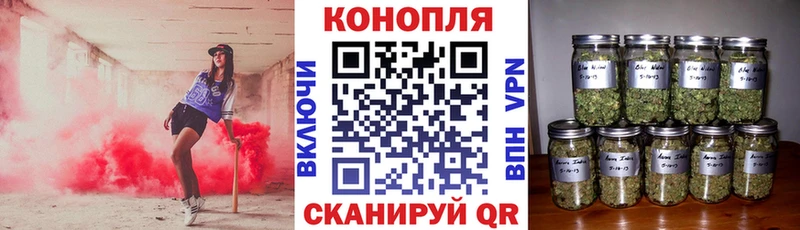 Каннабис конопля  Полярный 